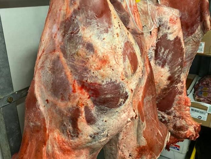 good-opportunity-butcher-shop-first-time-offered-to-the-public-2