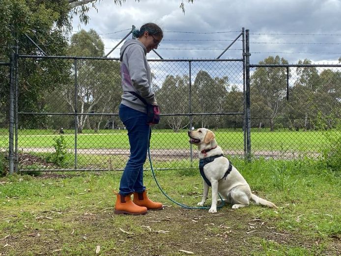 reward-based-pet-training-business-5