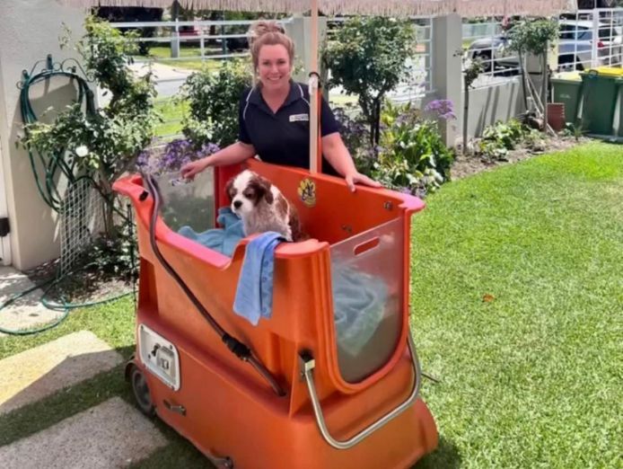 own-a-petbarn-mobile-dogwash-franchise-lead-your-own-business-1