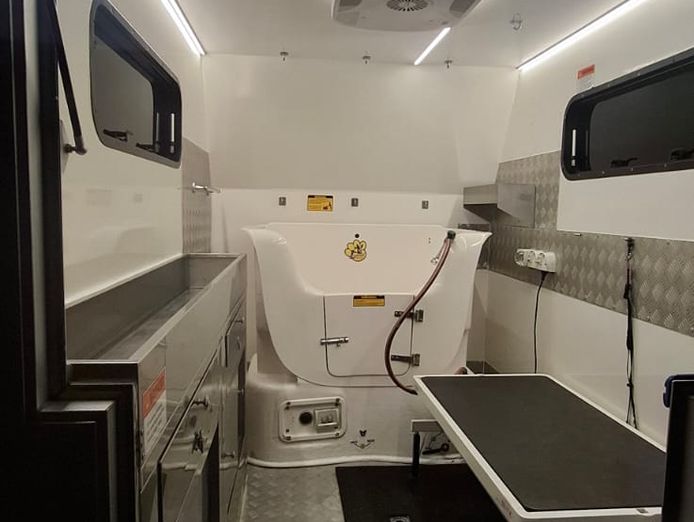 mobile-dog-grooming-business-on-the-sunshine-coast-8