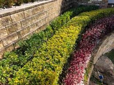 supercharged-gardening-business-with-no-franchise-fees-for-sale-net-220-000-2
