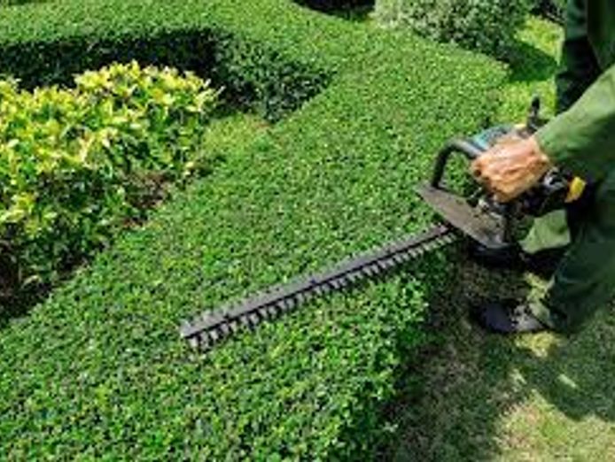 supercharged-gardening-business-with-no-franchise-fees-for-sale-net-220-000-3