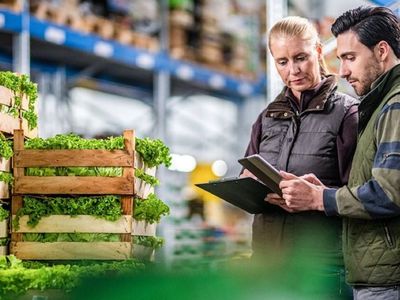 fruit-and-veg-deli-wholesale-distribution-t-o-c-4-4-mil-p-a-our-ref-v2025-4