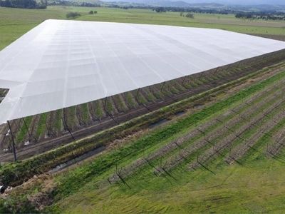 leading-crop-protection-netting-infrastructure-specialist-vic-our-ref-2065-1