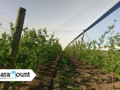 leading-crop-protection-netting-infrastructure-specialist-vic-our-ref-2065-0