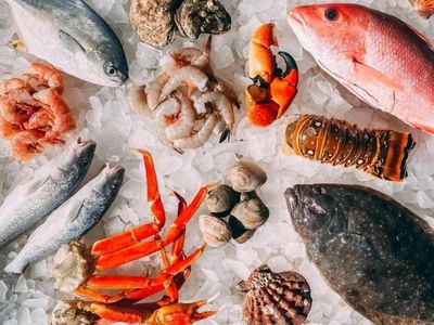 seafood-wholesale-distribution-revenue-c-10-0-million-p-a-our-ref-v2021-1
