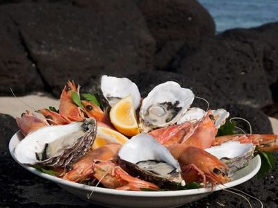seafood-wholesale-retail-factory-outlet-rev-c-5-0-million-p-a-our-ref-v2031-2