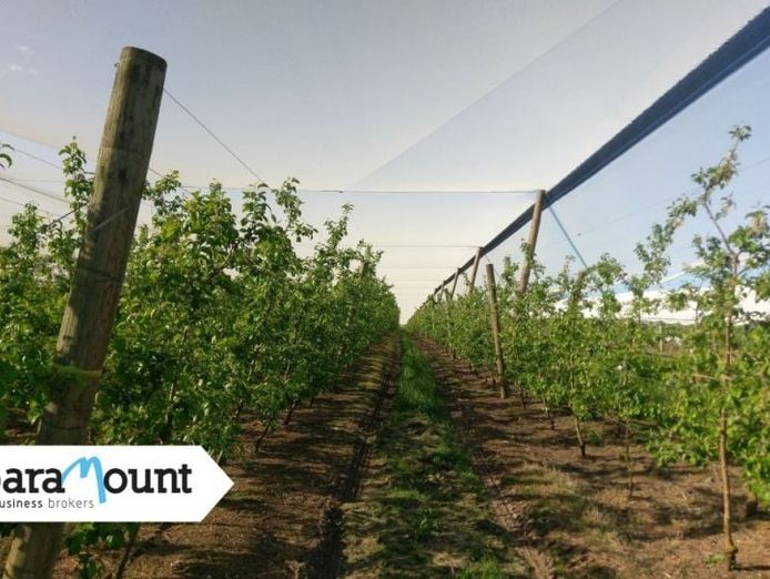leading-crop-protection-netting-infrastructure-specialist-vic-our-ref-2065-0