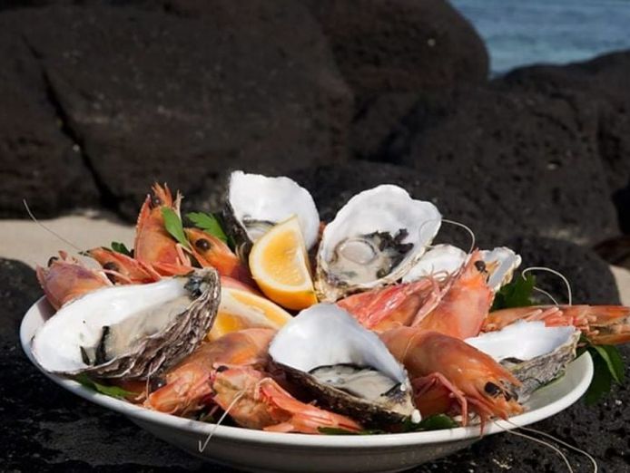 seafood-wholesale-retail-factory-outlet-rev-c-5-0-million-p-a-our-ref-v2031-2
