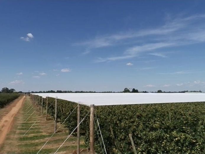 leading-crop-protection-netting-infrastructure-specialist-vic-our-ref-2065-3