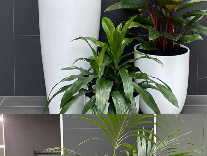 indoor-plant-hire-business-0