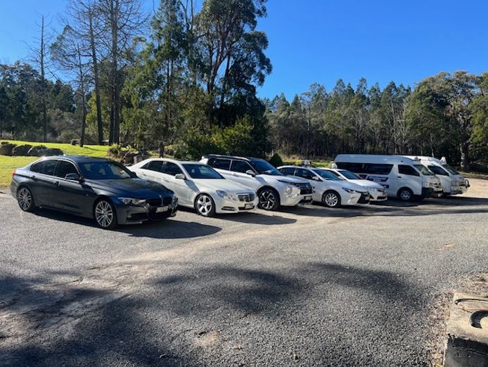 a-profitable-proven-taxi-limousine-business-in-a-rural-tourist-area-0