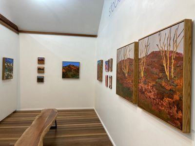 iconic-regional-art-gallery-5