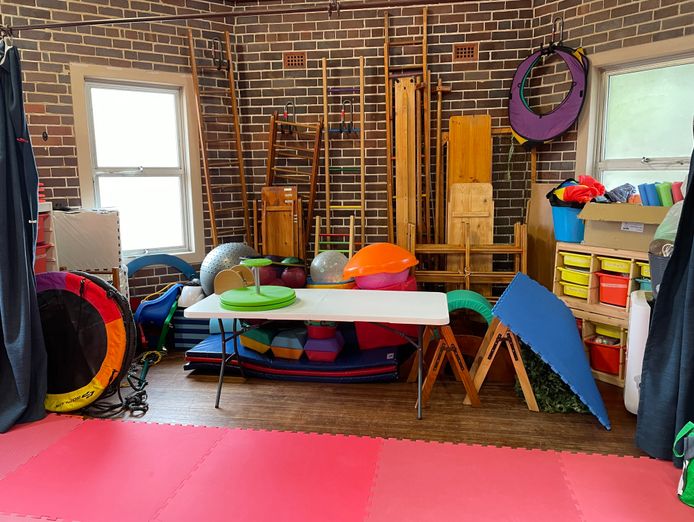 thriving-baby-and-toddler-exercise-gym-business-in-sydneys-booming-north-shore-6