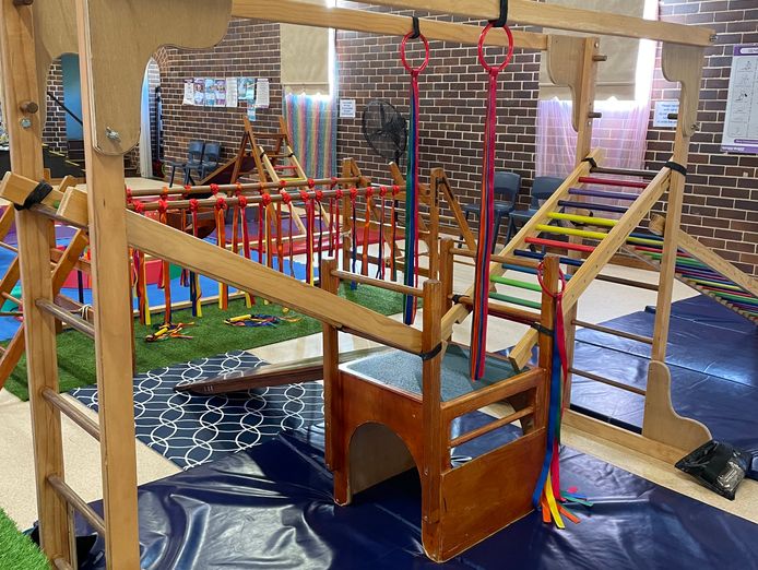thriving-baby-and-toddler-exercise-gym-business-in-sydneys-booming-north-shore-5