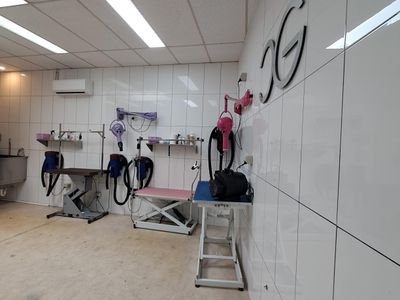pet-grooming-salon-for-sale-9