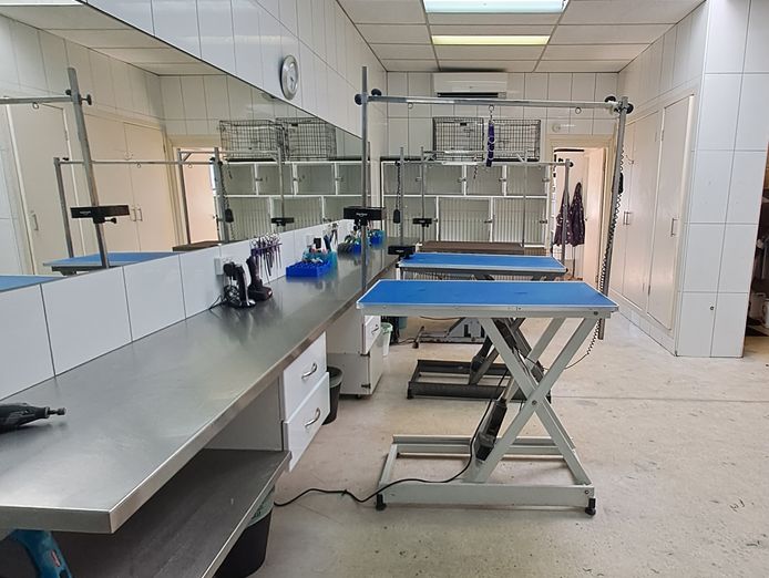 pet-grooming-salon-for-sale-6