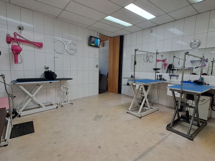 pet-grooming-salon-for-sale-8