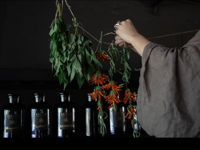 for-sale-lilium-lair-a-holistic-wellness-haven-in-brunswick-heads-7