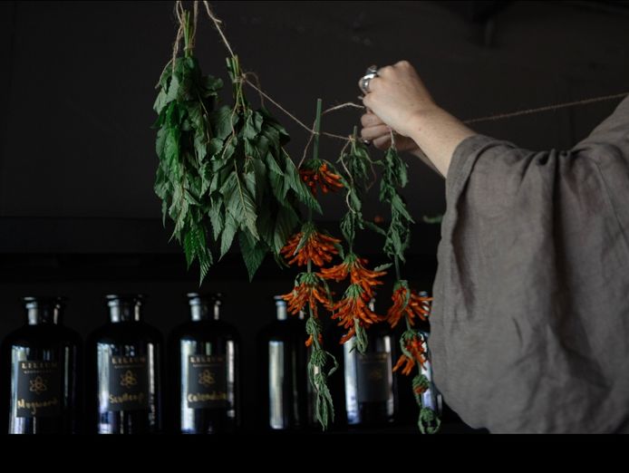 for-sale-lilium-lair-a-holistic-wellness-haven-in-brunswick-heads-7