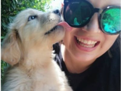 pet-sitting-pet-wedding-business-13years-of-operation-7