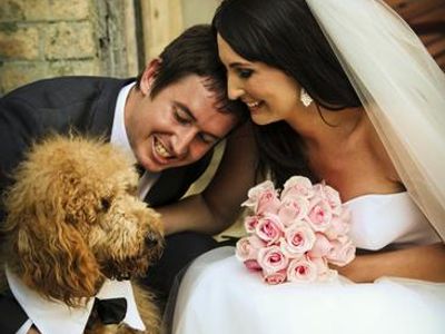 pet-sitting-pet-wedding-business-13years-of-operation-0