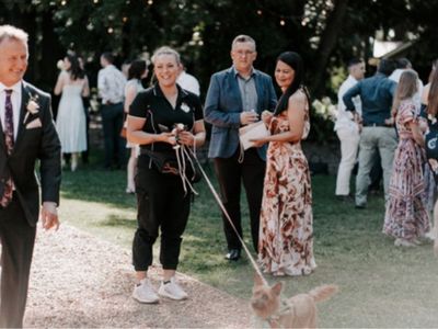 pet-sitting-pet-wedding-business-13years-of-operation-6