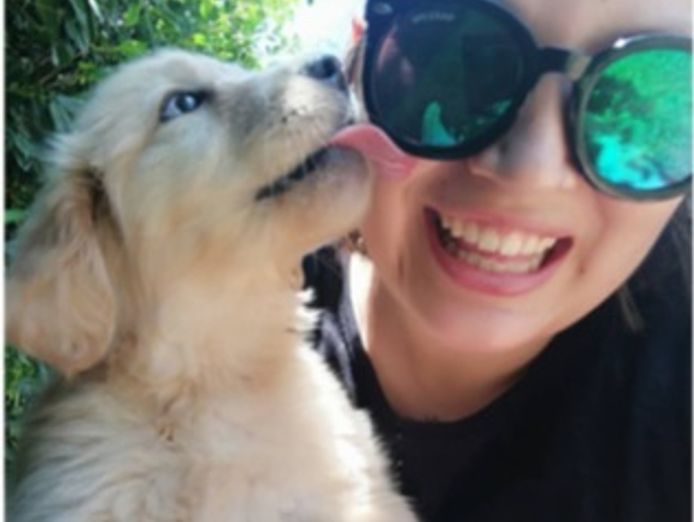 pet-sitting-pet-wedding-business-13years-of-operation-7