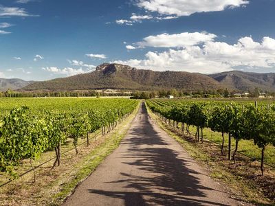 reputable-wine-tour-business-for-sale-hunter-valley-3