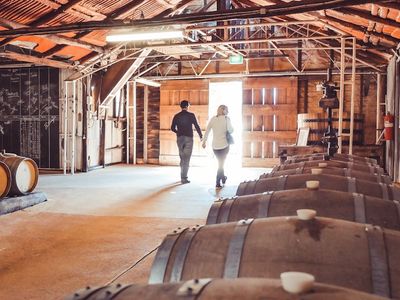 reputable-wine-tour-business-for-sale-hunter-valley-5