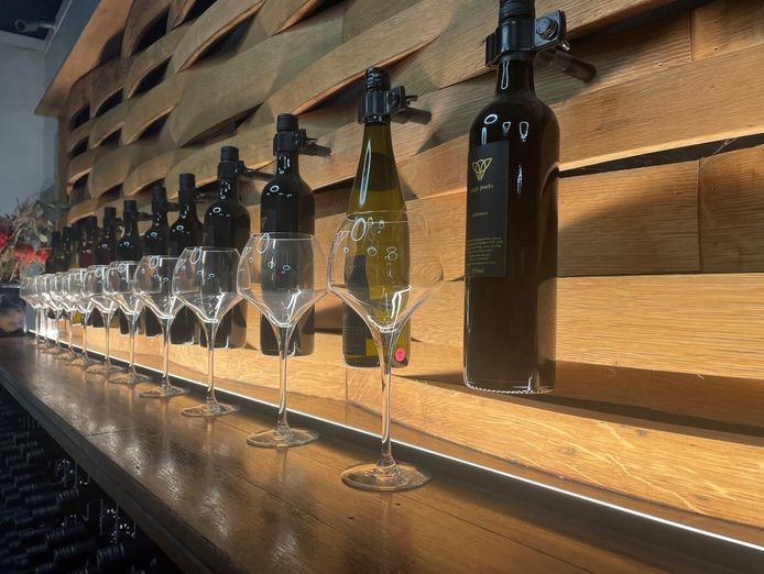 reputable-wine-tour-business-for-sale-hunter-valley-7