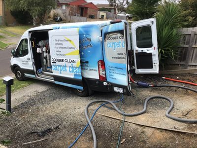 carpet-cleaning-fully-equipped-and-established-mobile-business-2