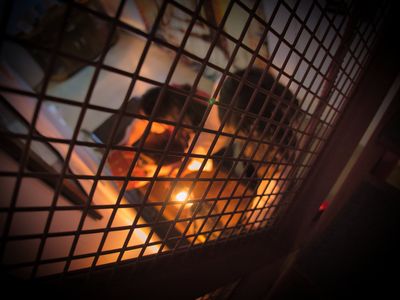 sa-inventors-escape-room-family-friendly-local-history-science-themes-6