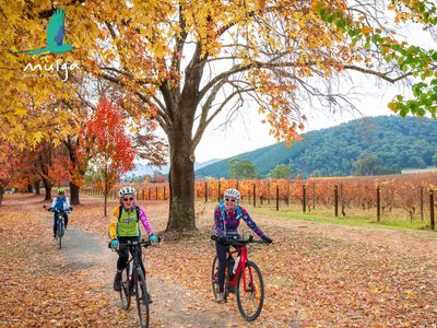 mulga-bicycle-tours-fully-supported-australian-cycling-holidays-2