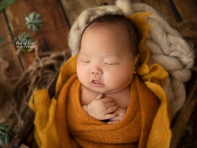 mobile-newborn-photography-business-established-ready-to-go-9