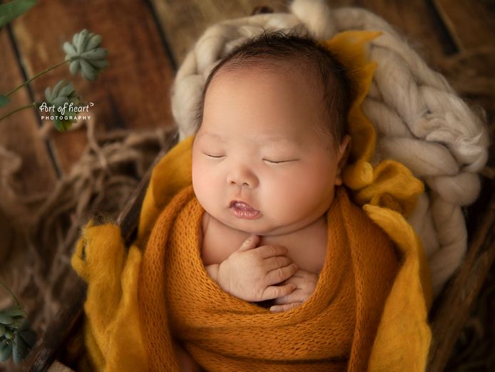 mobile-newborn-photography-business-established-ready-to-go-9