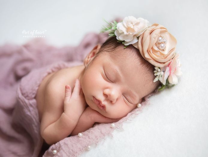 mobile-newborn-photography-business-established-ready-to-go-4