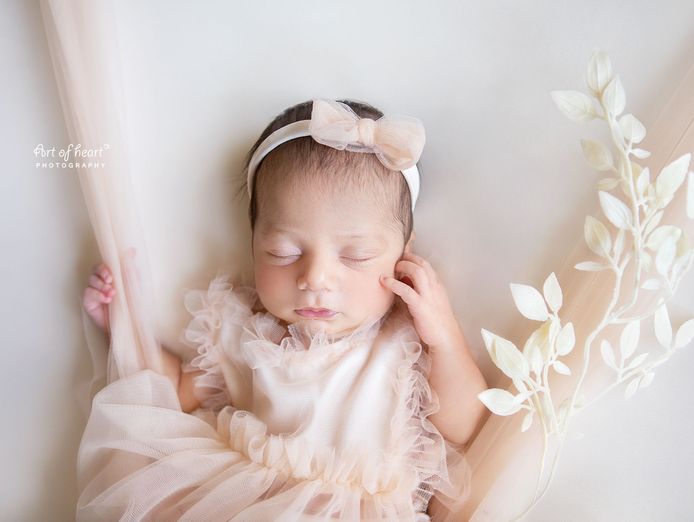mobile-newborn-photography-business-established-ready-to-go-3
