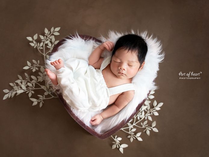 mobile-newborn-photography-business-established-ready-to-go-0