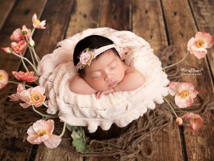 mobile-newborn-photography-business-established-ready-to-go-7