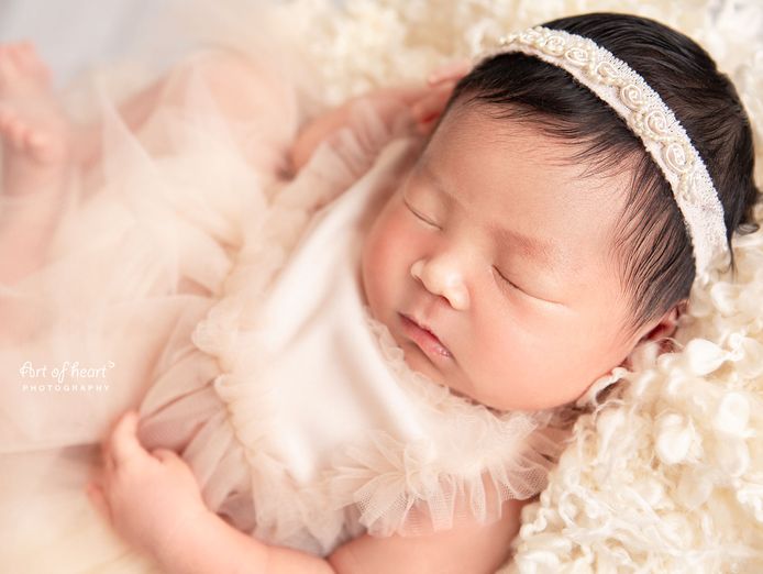mobile-newborn-photography-business-established-ready-to-go-8
