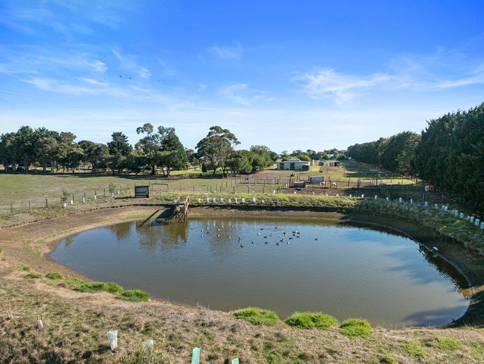 freehold-accessible-accommodation-farmstay-on-15-acres-phillip-island-4