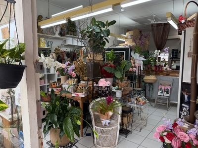 florist-for-sale-hinterland-artistic-hub-of-the-sunshine-coast-2