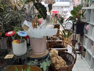florist-for-sale-hinterland-artistic-hub-of-the-sunshine-coast-1