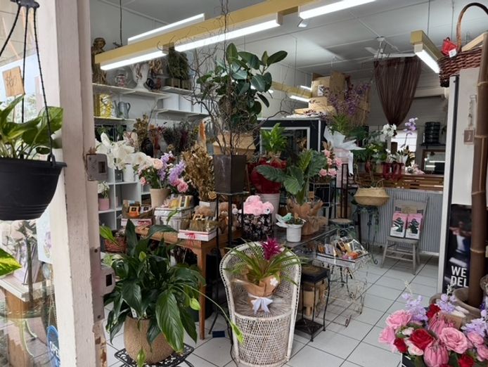 florist-for-sale-hinterland-artistic-hub-of-the-sunshine-coast-2