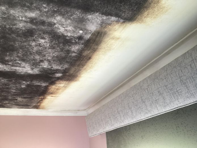 franchise-professional-services-enhancing-homes-and-commercial-premises-5