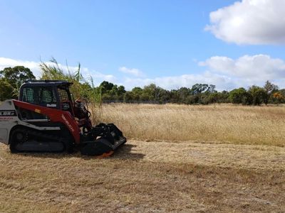 vegetation-management-land-services-0