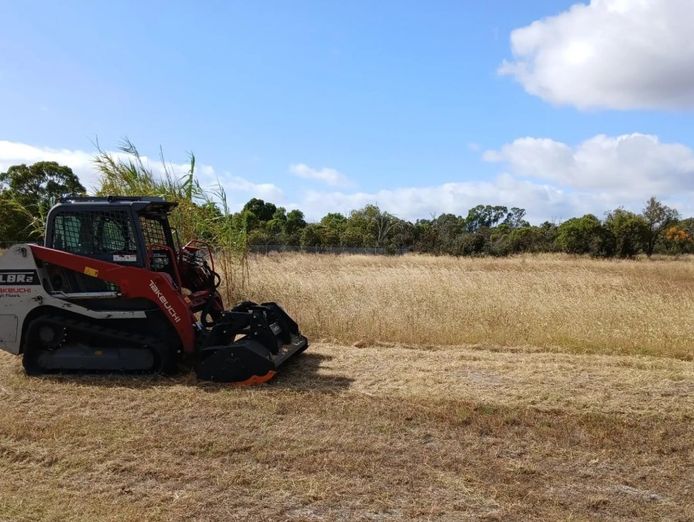 vegetation-management-land-services-0