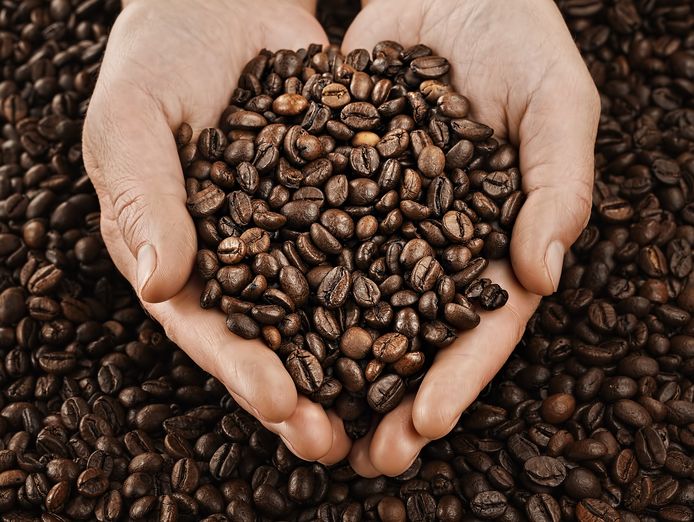 cafe-chain-with-roasting-under-management-not-a-franchise-6903-0