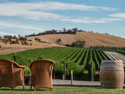 national-wine-tour-business-unique-scalable-and-affordably-priced-0